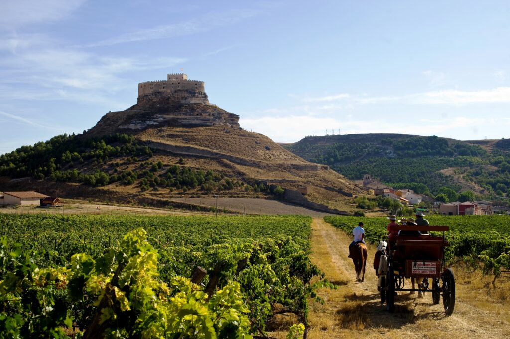 Enoturismo y Gastronomía en Castilla y León