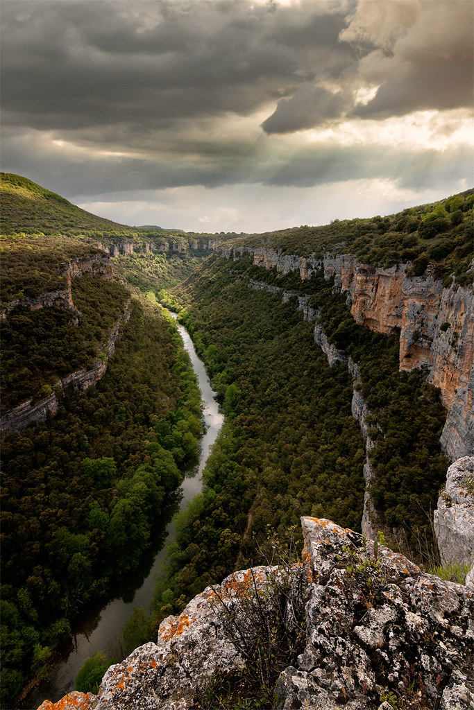 Patrimonio natural de Castilla y León