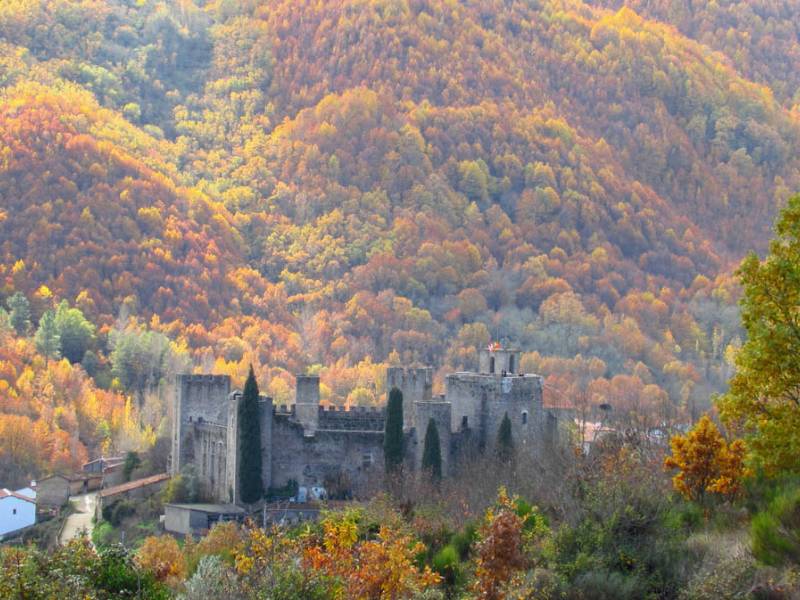 Patrimonio natural de Castilla y León