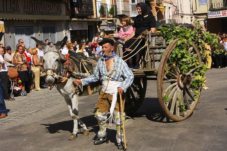 Enoturismo y gastronomía en Castilla y León